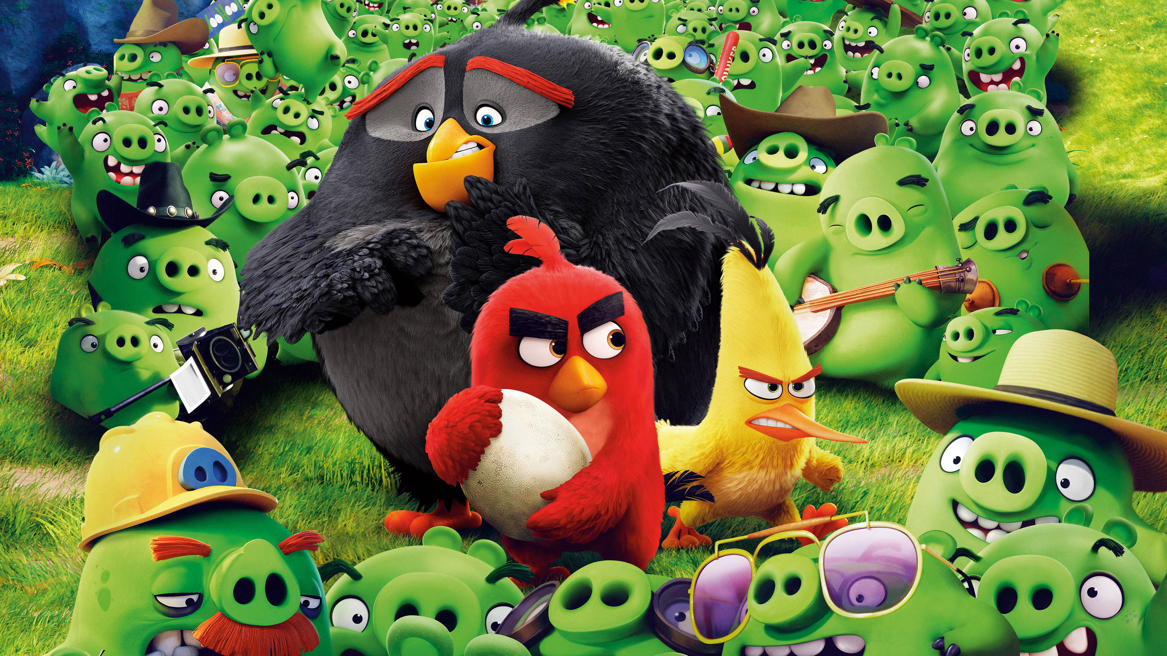 Cartoon Characters 桌布 壁紙 — 一個充滿活力的卡通場景，紅色、黃色和黑色的憤怒鳥被一群綠色豬包圍在草地上。
