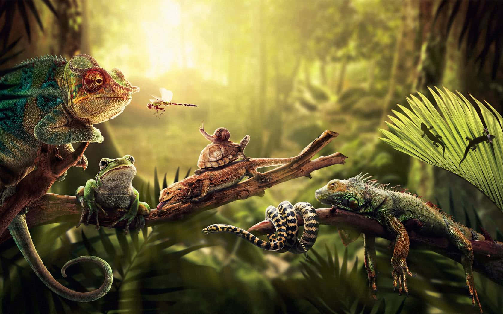 iguana 桌布 壁紙 — 一個充滿活力的叢林場景，變色龍、青蛙和蛇棲息在樹枝上，金色的陽光穿過茂密的樹葉灑落下來。