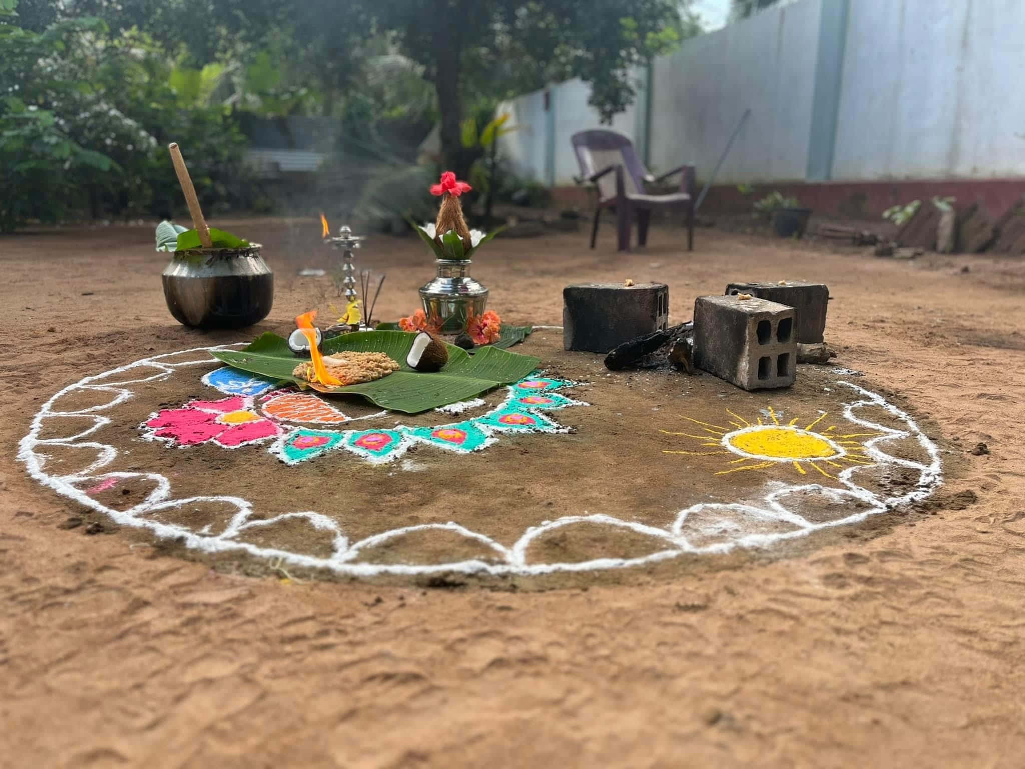Pongal 桌布 壁紙 — 一個充滿活力的圓形藍果麗，由彩色粉末在地上製成，帶有祭品和太陽圖案，位於庭院中。