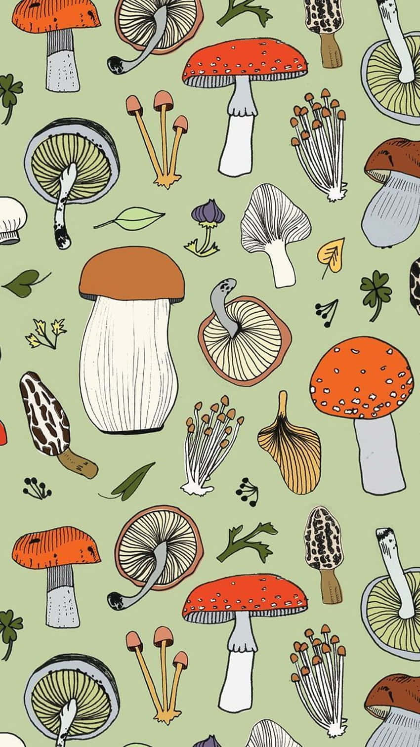 plants 桌布 壁紙 — 一個充滿活力的圖案，以紅色、橙色和大地色調的插圖蘑菇，在柔和的綠色背景上。