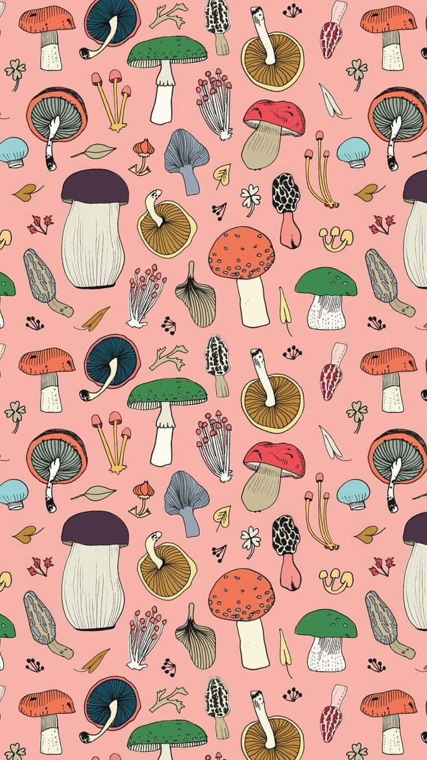 Trippy Mushroom 桌布 壁紙 — 一個充滿活力的圖案，由各種顏色、異想天開的手繪蘑菇散落在柔和的粉紅色背景上。