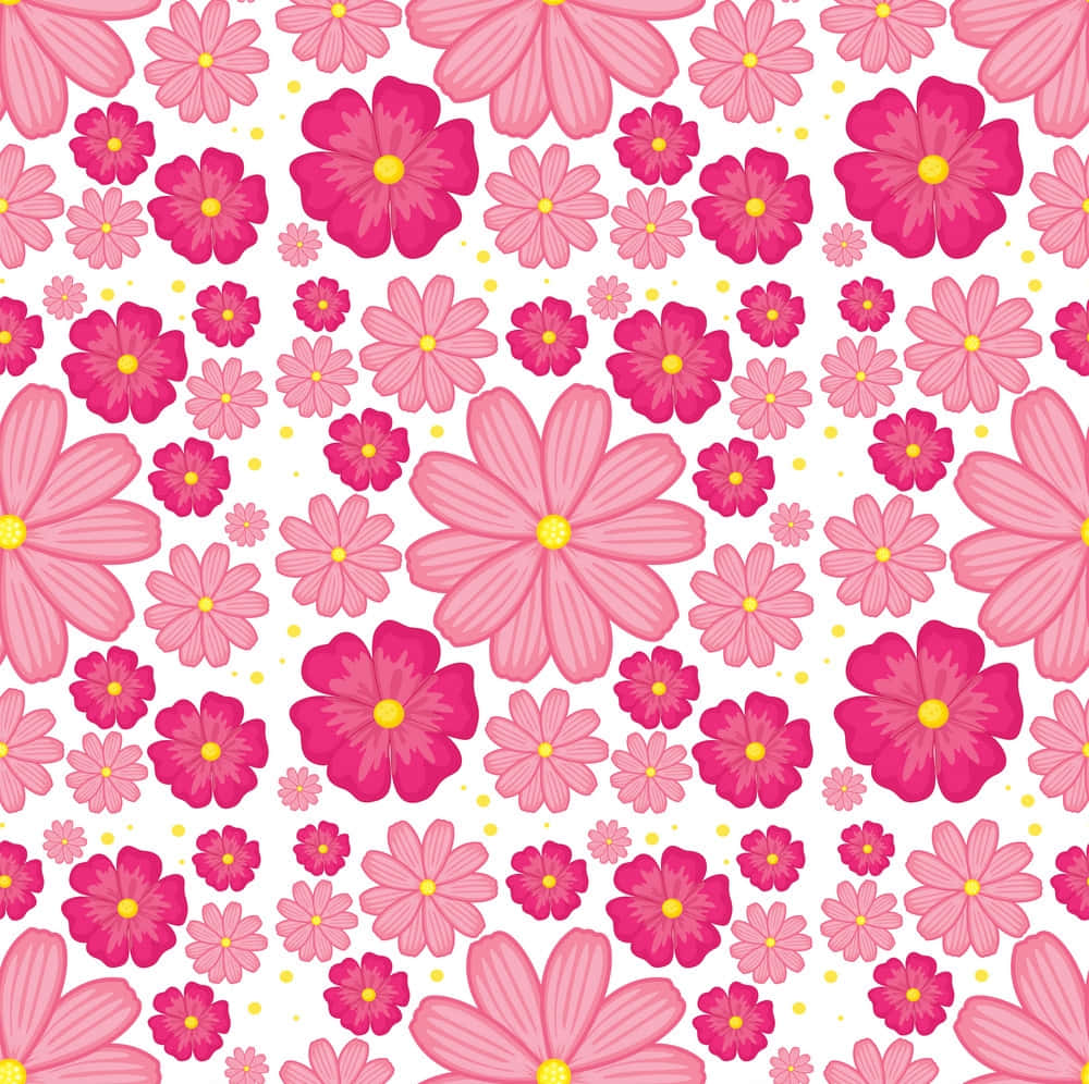 Pink Flower 桌布 壁紙 — 一個充滿活力的圖案，粉紅色波斯菊帶有黃色花心，散落在白色背景上。