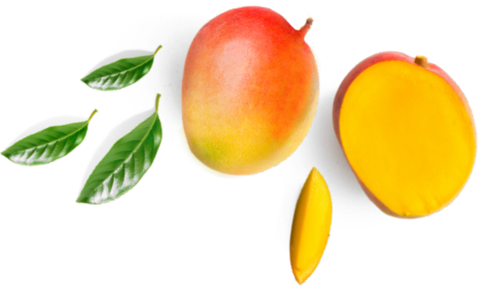 Mangoes 桌布 壁紙 — 一個充滿活力的完整芒果和切片芒果，配上綠色葉子，漂浮在黑色背景上。