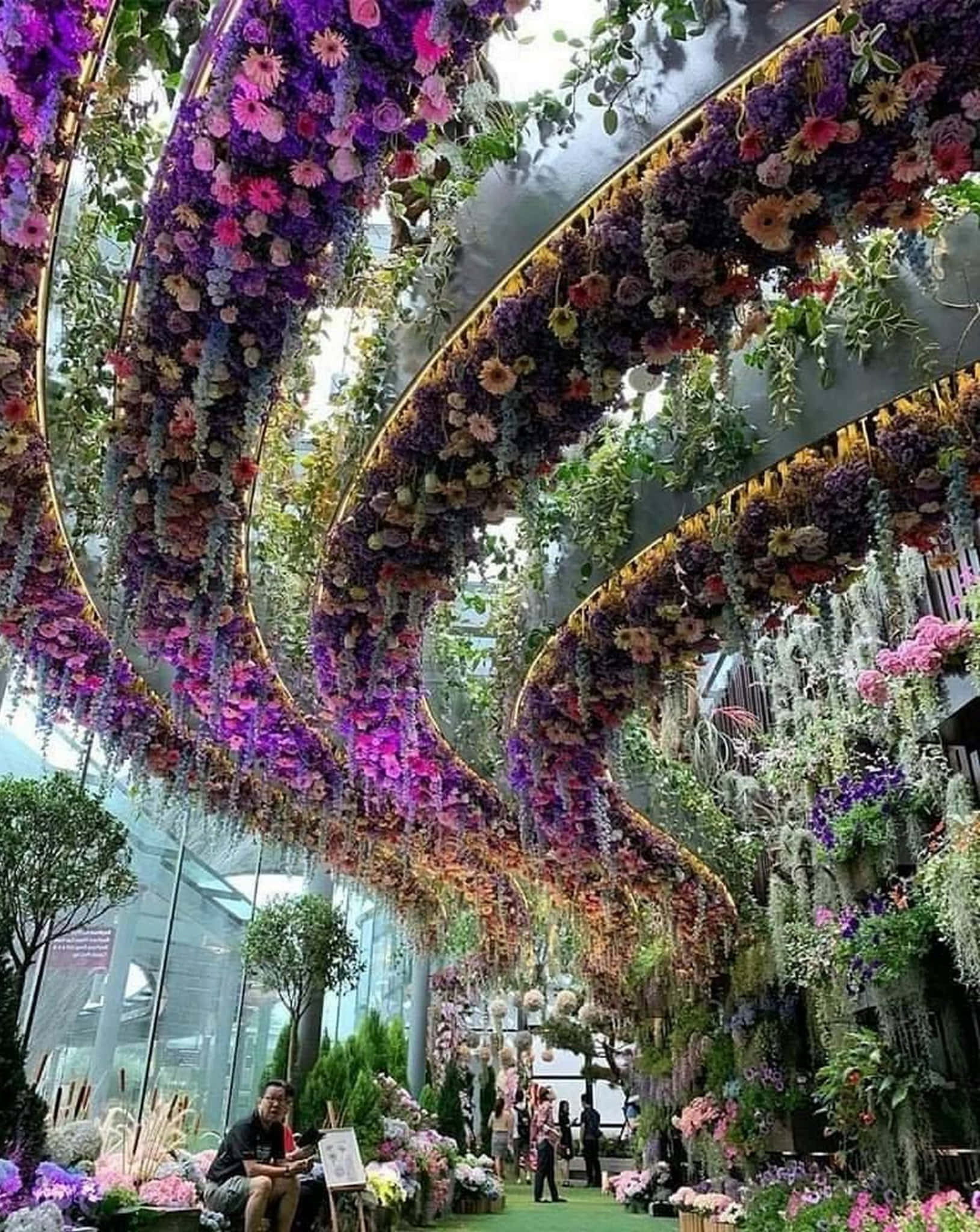 花卉 桌布 壁紙 — 一個充滿活力的室內花園，紫、粉紅、白色的花朵如瀑布般垂掛，形成茂盛的花卉隧道。