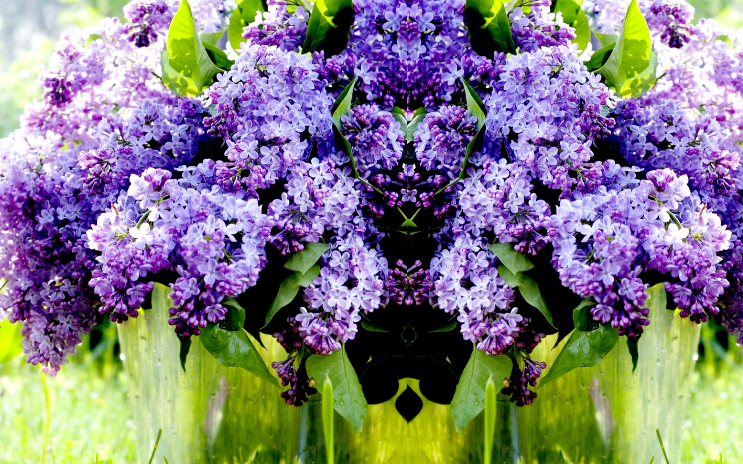 Lilac Tree 桌布 壁紙 — 一個充滿活力的對稱萬花筒，呈現紫色丁香花與茂盛綠葉，背景是柔和模糊的草地。