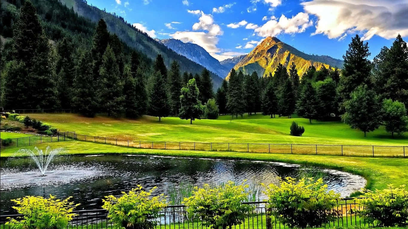 1366x768 Golf Course 桌布 壁紙 — 一個充滿活力的山谷，有一個噴泉池塘，周圍環繞著茂密的綠草和高大的松樹，在明亮的藍天下有蓬鬆的雲朵。