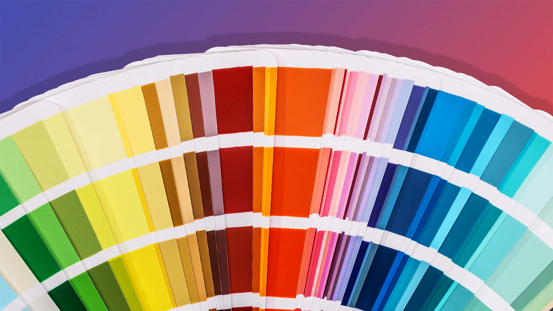 Color Palette 桌布 壁紙 — 一個充滿活力的扇形色板調色板，在紫色到粉紅色的漸變背景上顯示一系列色調。