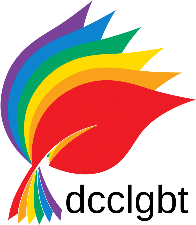 LGBT 桌布 壁紙 — 一個充滿活力的抽象彩虹羽毛設計，在黑色背景上呈現大膽的色彩。