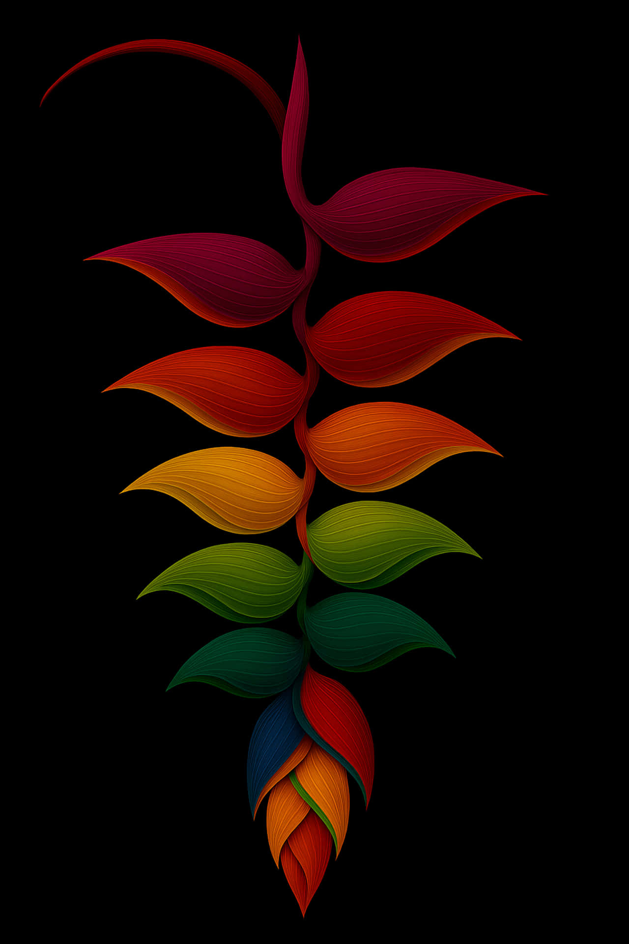 Heliconia flower 壁紙 — 一個充滿活力的抽象花卉設計，葉片漸變從紅色到橙色、黃色、綠色、藍色，背景為黑色。