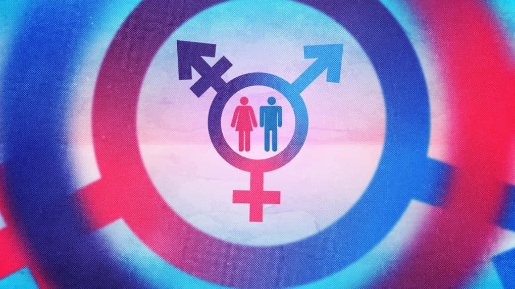 transgender 桌布 壁紙 — 一個充滿活力的抽象設計，帶有粉紅色和藍色漸變向外輻射的跨性別符號。