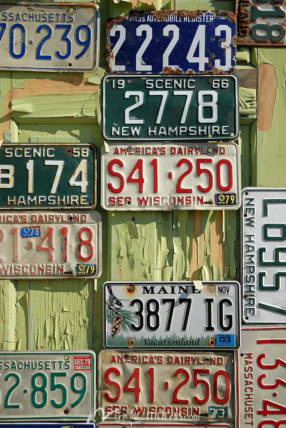 License Plate 桌布 壁紙 — 一個充滿活力的拼貼畫，展示了來自新罕布夏州、威斯康辛州和麻薩諸塞州的風化復古車牌，安裝在剝落的綠色木牆上。