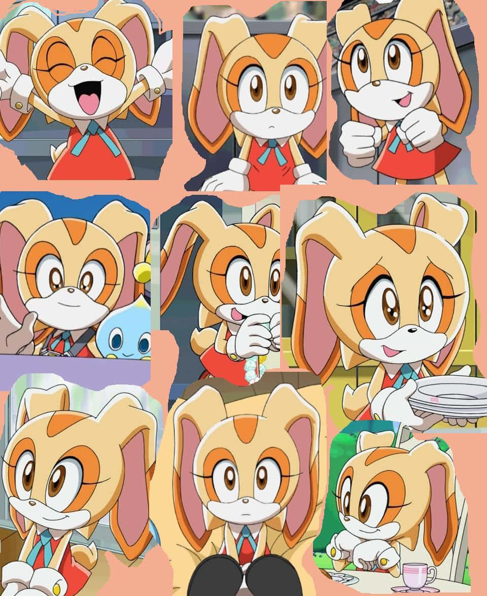 Cream The Rabbit 桌布 壁紙 — 一個充滿活力的拼貼畫，展示動畫角色 Cream the Rabbit 的各種愉快表情和姿勢。