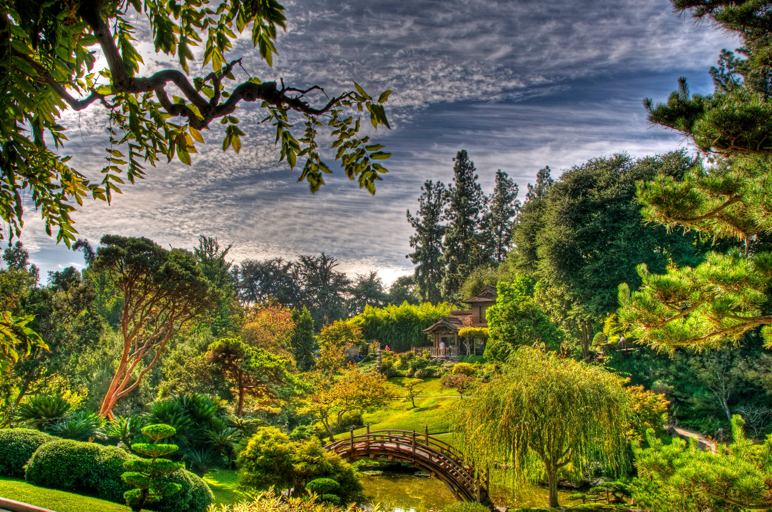 San Marino 桌布 壁紙 — 一個充滿活力的日本花園，在戲劇性的多雲天空下，一座木橋橫跨池塘，周圍環繞著茂密的綠樹和修剪整齊的灌木。
