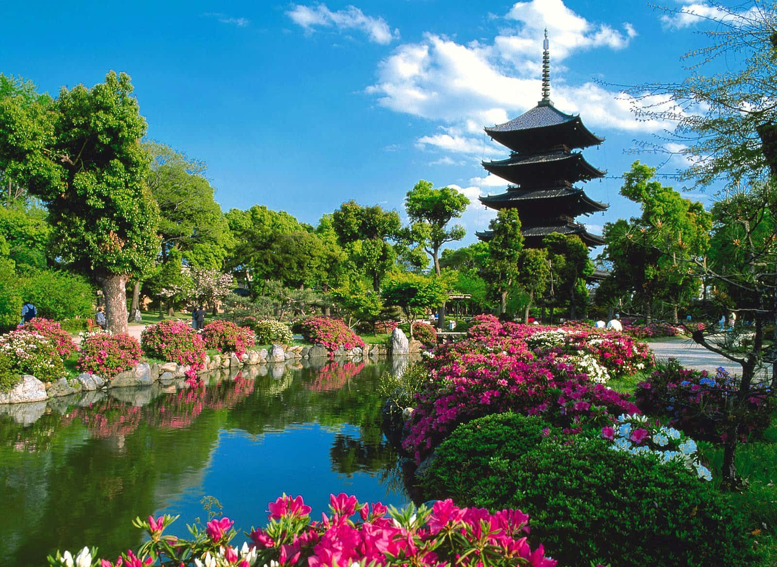日本 桌布 壁紙 — 一個充滿活力的日本花園，多層寶塔倒映在平靜的池塘中，周圍環繞著茂密的綠色植物和盛開的粉紅色杜鵑花，在明亮的藍天下。
