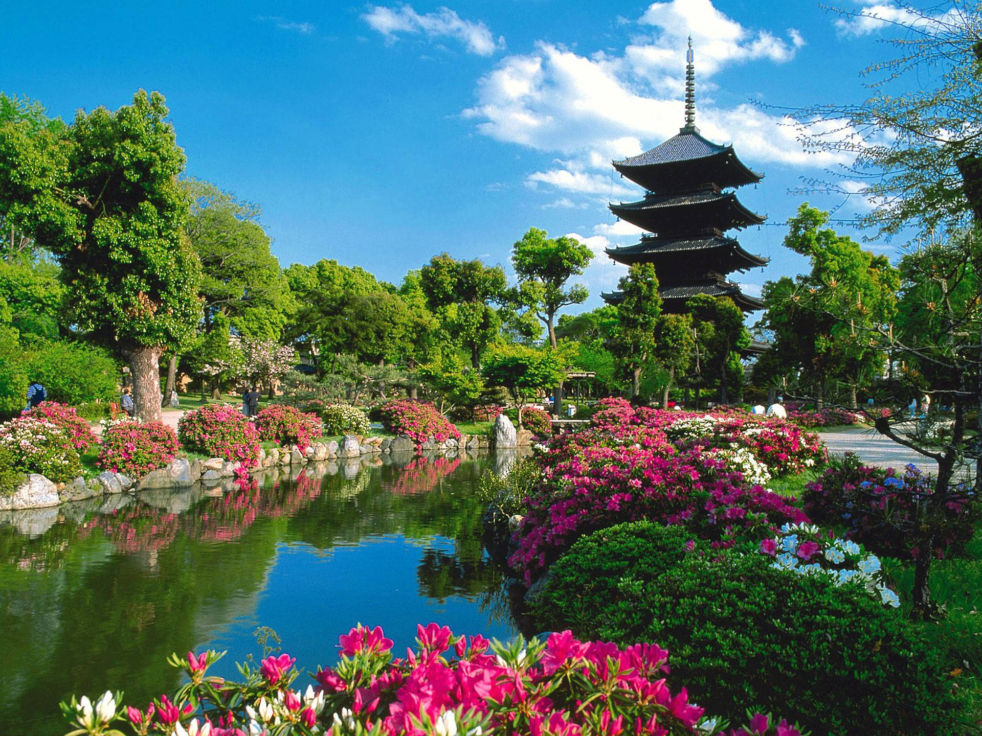 京都 桌布 壁紙 — 一個充滿活力的日本花園，多層寶塔倒映在平靜的池塘中，周圍環繞著茂密的綠植和盛開的粉紅色杜鵑花，在明亮的藍天下。