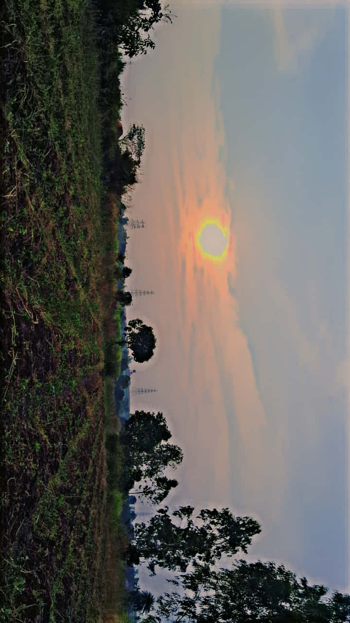 Village Sun View 壁紙 — 一個充滿活力的日落，發光的橙色太陽將溫暖的光線投射在草地和剪影樹木上。