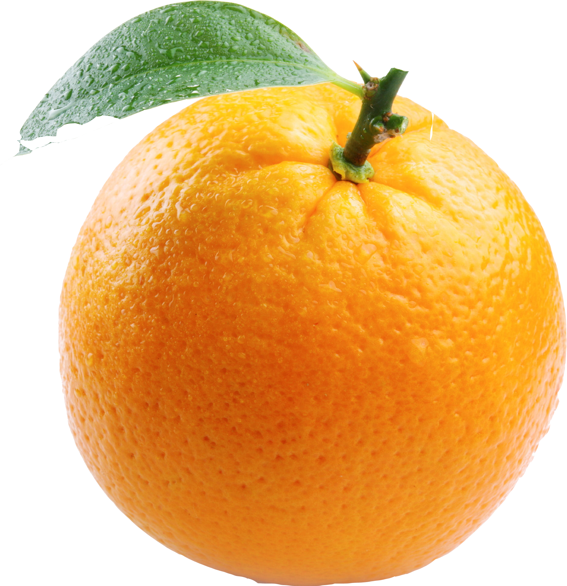 mandarin 桌布 壁紙 — 一個充滿活力的柳橙，附有帶露水的綠葉，襯托在純黑背景上。