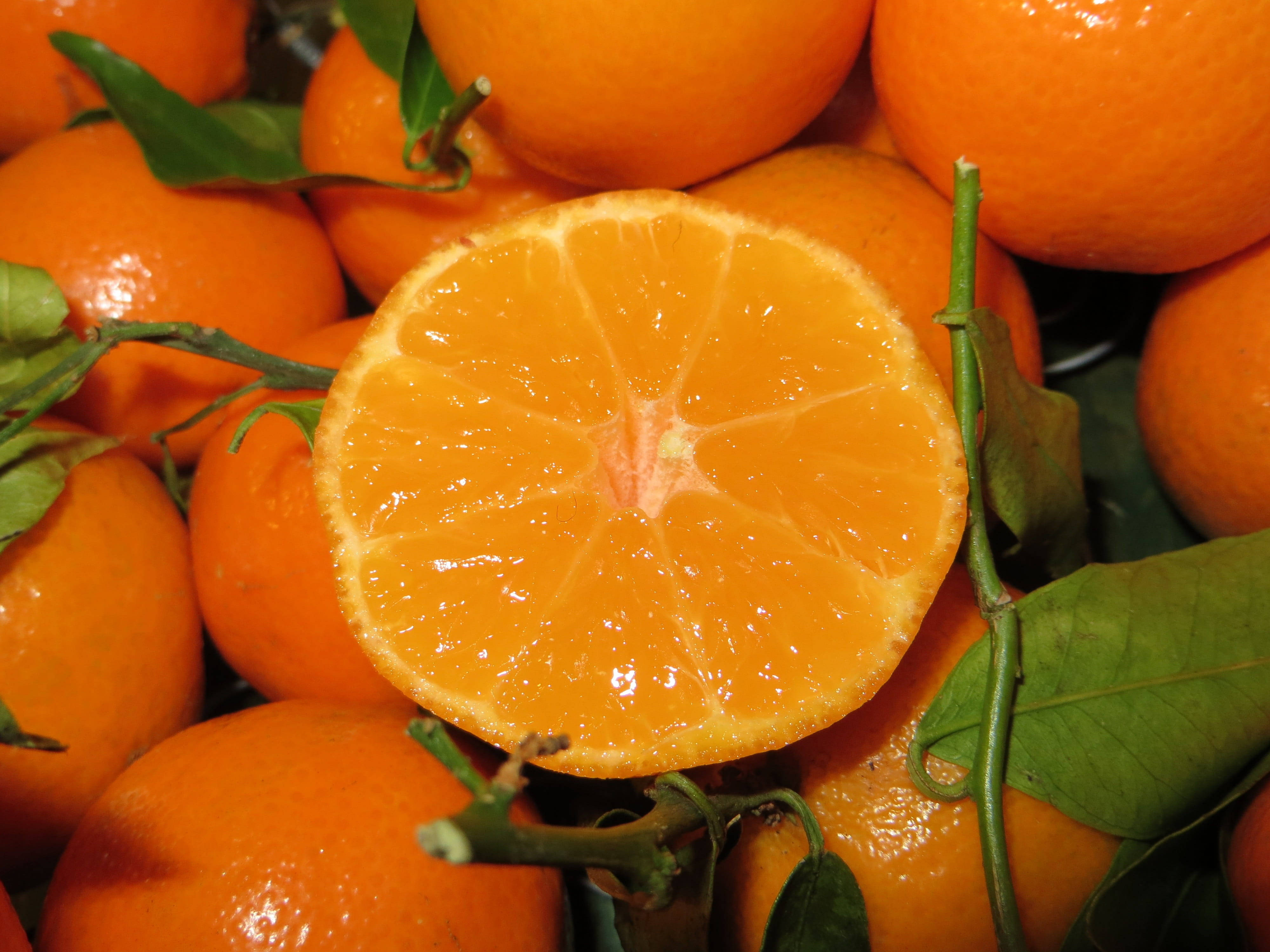 Fruits 桌布 壁紙 — 一個充滿活力的柳橙半切特寫，露出多汁的果瓣，周圍環繞著完整的柳橙和綠葉。