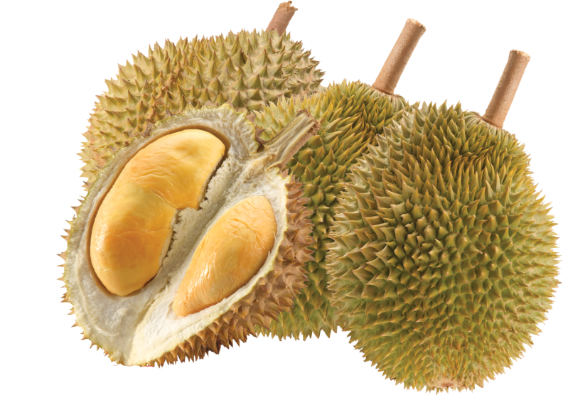 Durian 桌布 壁紙 — 一個充滿活力的榴槤果實特寫，其中一個裂開，露出奶油般的金黃色果肉，襯托著純黑色的背景。