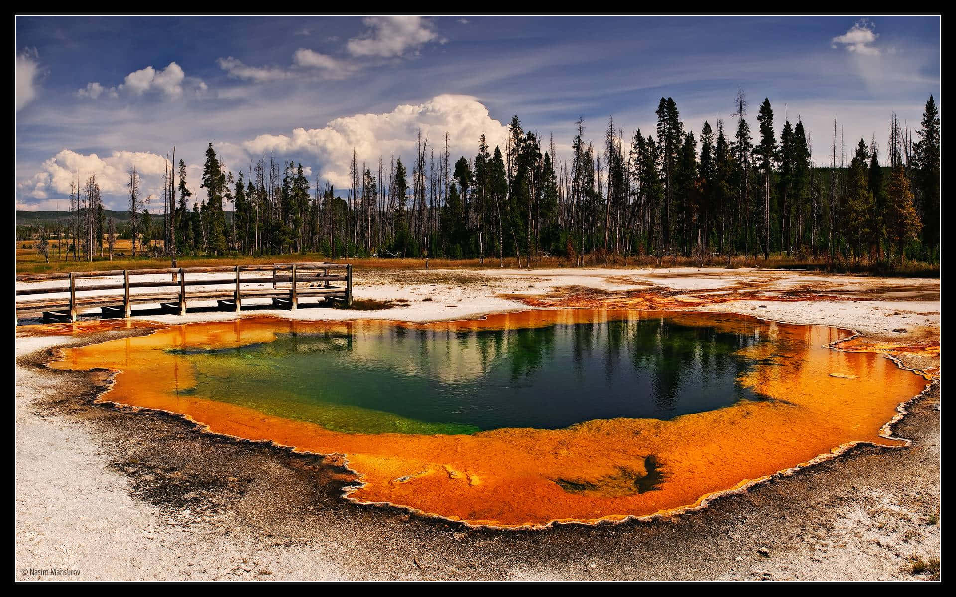 Yellowstone 桌布 壁紙 — 一個充滿活力的橙色和綠色溫泉反射出藍天和蓬鬆的雲朵，周圍環繞著松樹和木製步道。