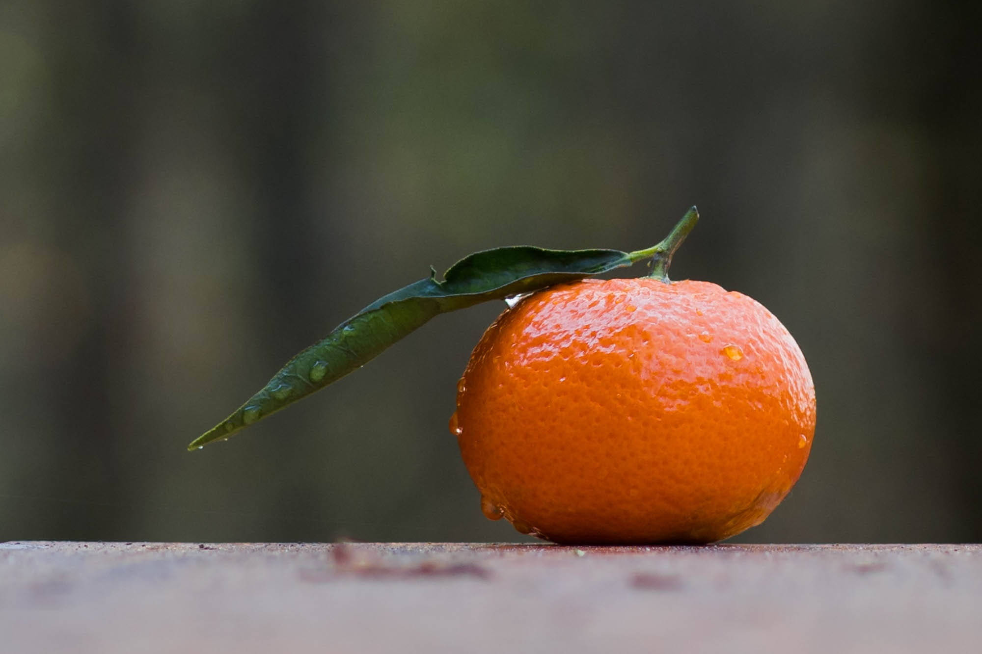 Fruit 桌布 壁紙 — 一個充滿活力的橙色柑橘類水果，帶有綠色葉子，放在木質表面上，背景是模糊的自然景色。
