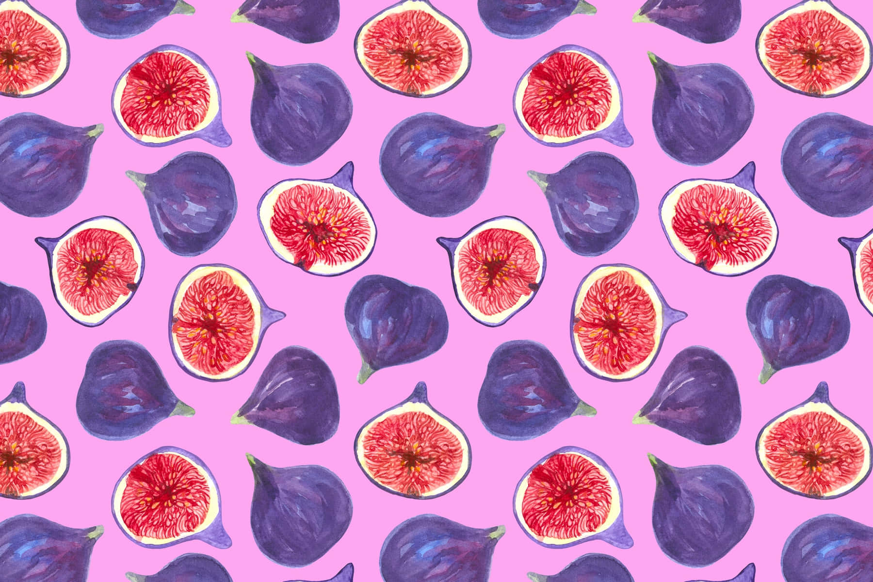 Purple Figs 桌布 壁紙 — 一個充滿活力的水彩圖案，包含切片和完整的無花果，背景為粉紅色。