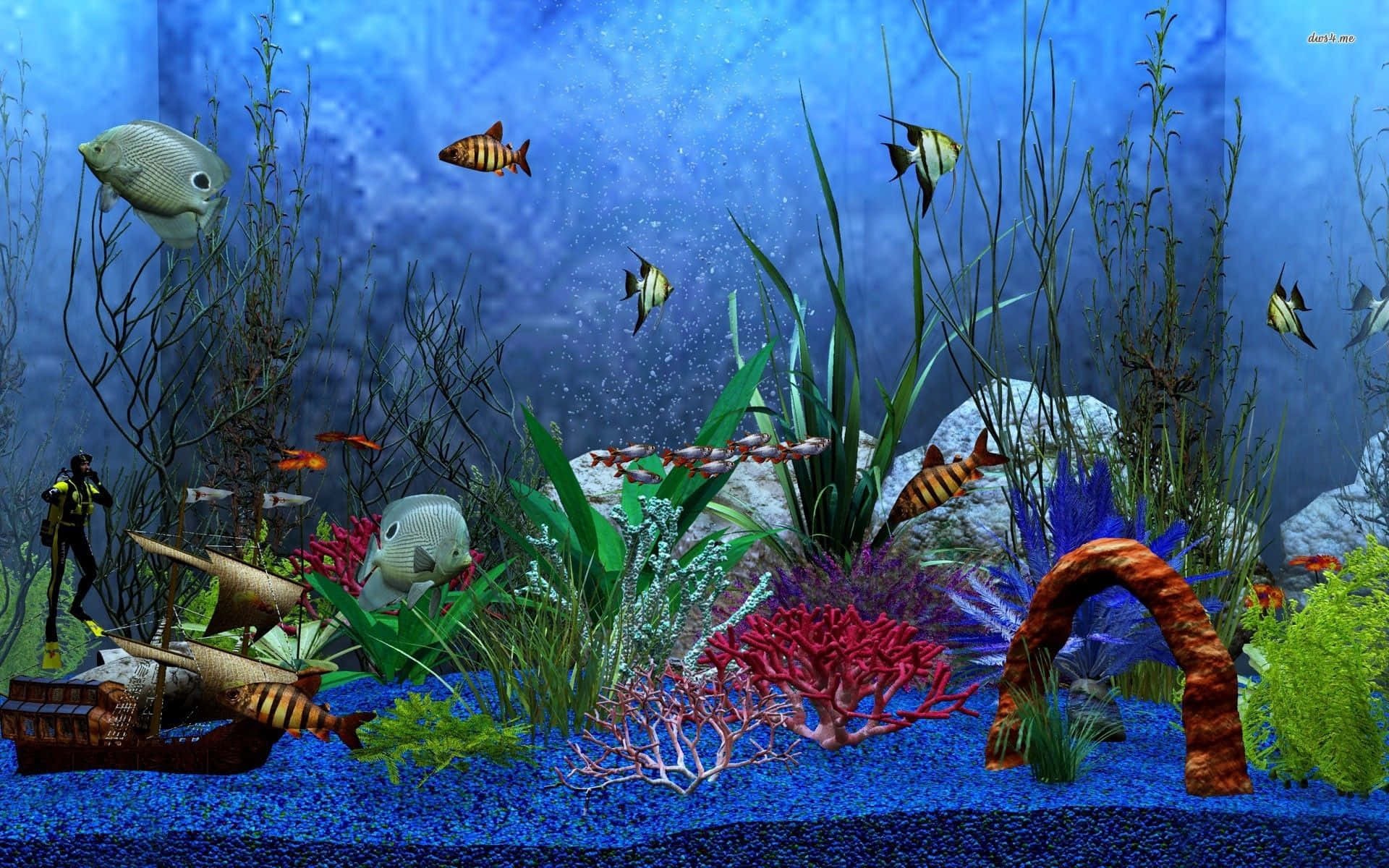 Fish Tank 桌布 壁紙 — 一個充滿活力的水族館場景，色彩繽紛的魚兒在藍色海水中的珊瑚植物和沉船之間游動。