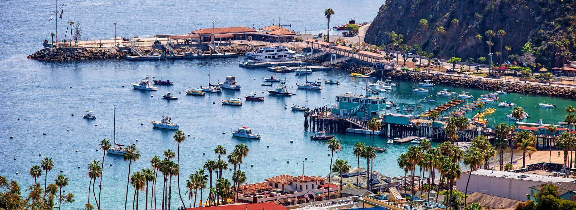 California Island 桌布 壁紙 — 一個充滿活力的沿海港口，停滿了船隻和棕櫚樹，在晴朗的天空下。