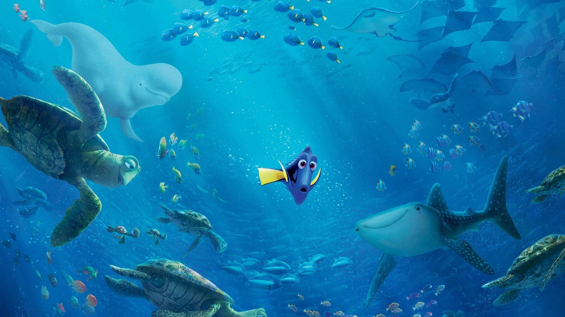 nemo 桌布 壁紙 — 一個充滿活力的海底場景，多莉在清澈的藍色海洋中與海龜、鯨魚和魚群一起游泳。