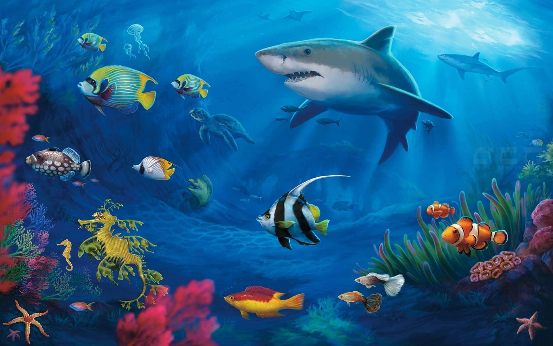 Fish Desktop 桌布 壁紙 — 一個充滿活力的海底場景，色彩繽紛的魚類、珊瑚和鯊魚在陽光照射的藍色海水中游動。