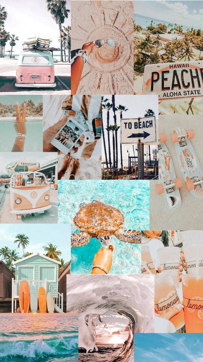 Summer Collage 桌布 壁紙 — 一個充滿活力的海灘主題拼貼畫， featuring 一輛粉紅色VW巴士、棕櫚樹、一隻在碧綠海水中的海龜和檸檬水飲料。