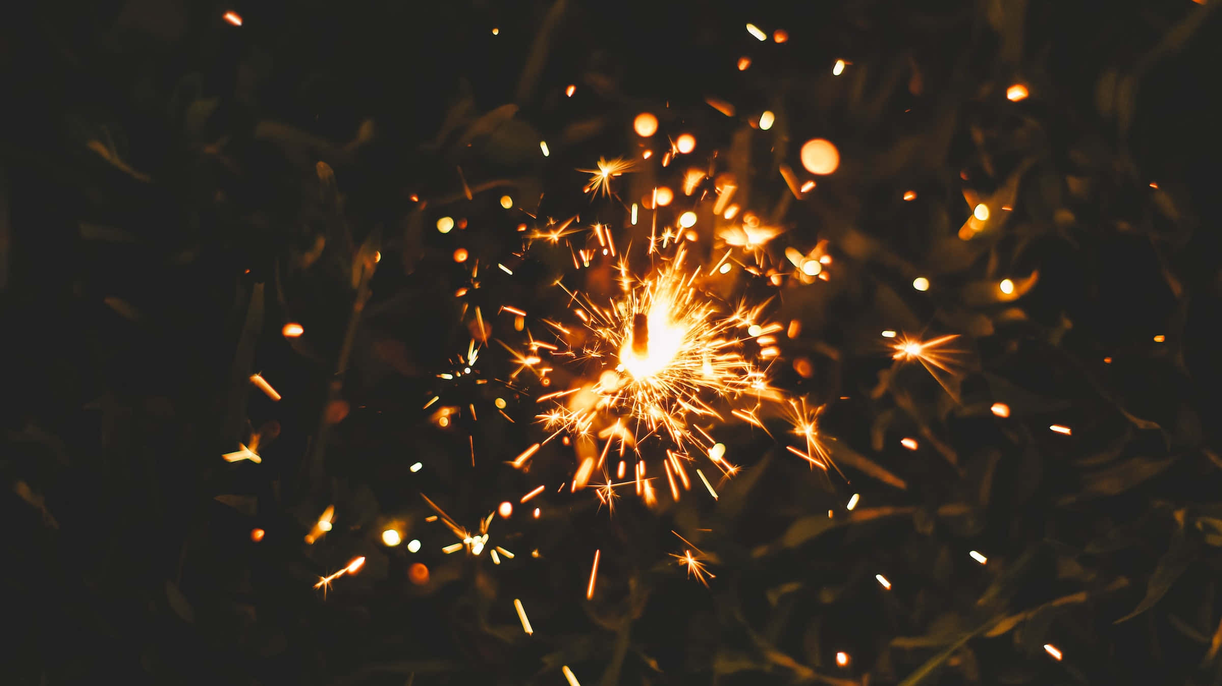 Sparkle 桌布 壁紙 — 一個充滿活力的煙火棒在黑暗模糊的樹葉背景下爆發出金色火花。