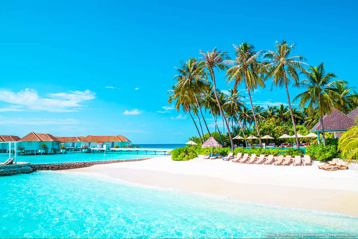 Maldives Island 桌布 壁紙 — 一個充滿活力的熱帶天堂，擁有碧綠的海水、白色沙灘、棕櫚樹和水上平房，在晴朗的藍天下。