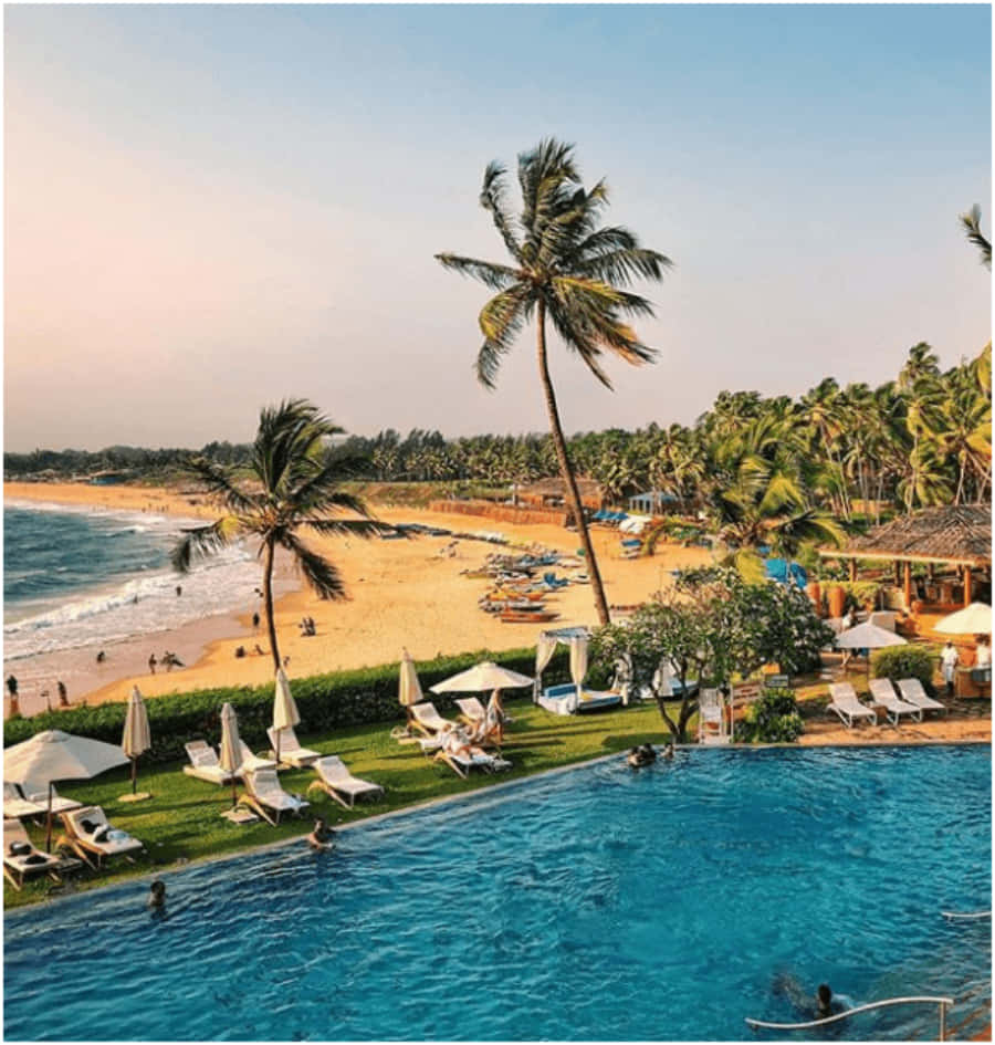 Goa Beach 桌布 壁紙 — 一個充滿活力的熱帶度假村泳池俯瞰著金色沙灘，棕櫚樹在晴朗的天空下搖曳。