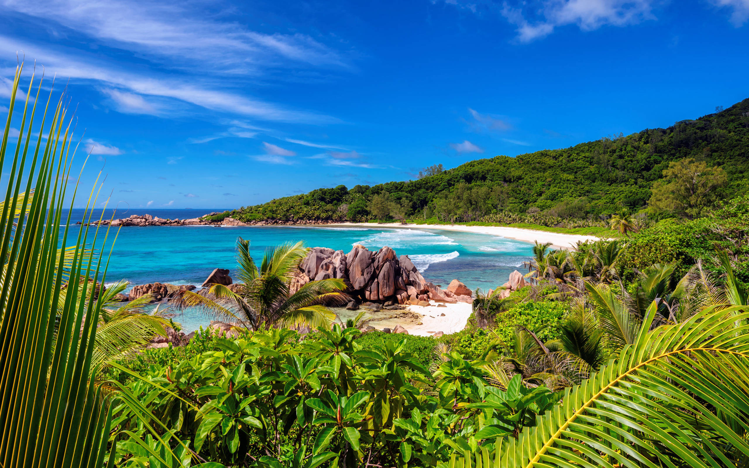 Seychelles 桌布 壁紙 — 一個充滿活力的熱帶海灘，擁有碧綠的海水、白色的沙灘和茂密的綠色植物，在明亮的藍天下。
