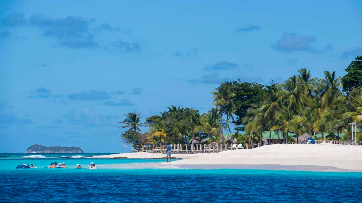 St Vincent And The Grenadines 桌布 壁紙 — 一個充滿活力的熱帶海灘，擁有碧綠的海水、白色的沙灘、棕櫚樹和享受陽光明媚日子的人們。