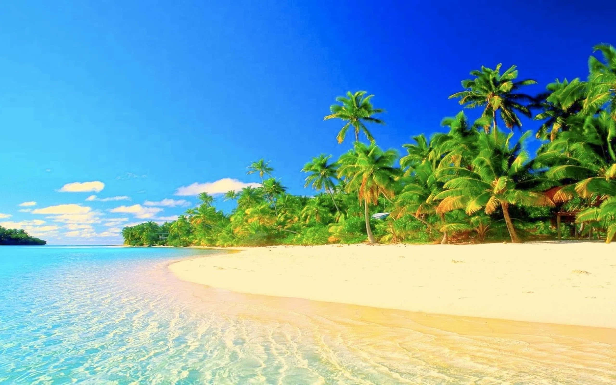 Tropical 桌布 壁紙 — 一個充滿活力的熱帶海灘，擁有碧綠的海水、溫柔的海浪、白色的沙灘和茂密的綠色棕櫚樹，在晴朗的藍天下。