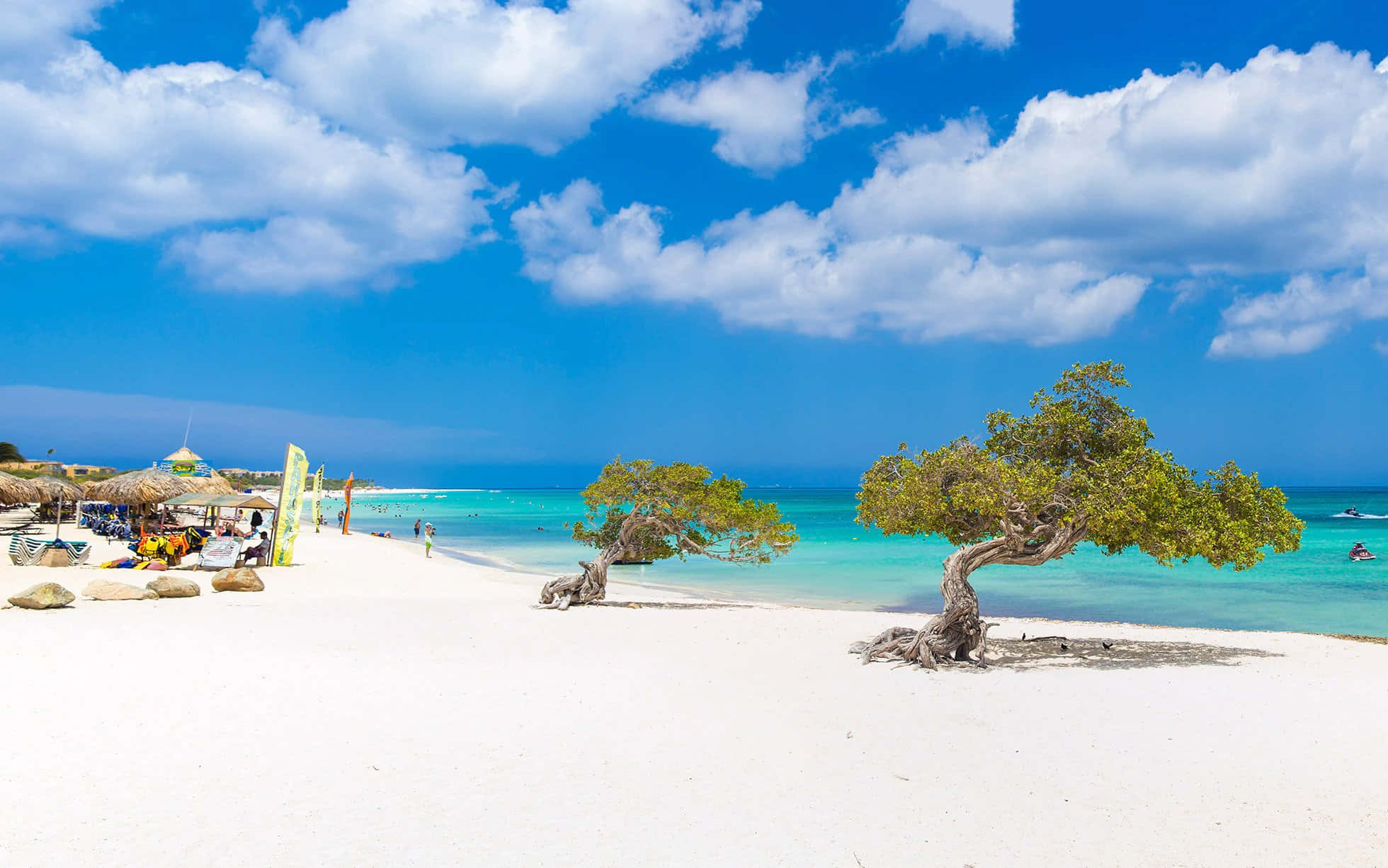 Aruba 桌布 壁紙 — 一個充滿活力的熱帶海灘，有白色沙灘、碧綠海水和節瘤樹木，上方是明亮的藍天和蓬鬆的雲朵。