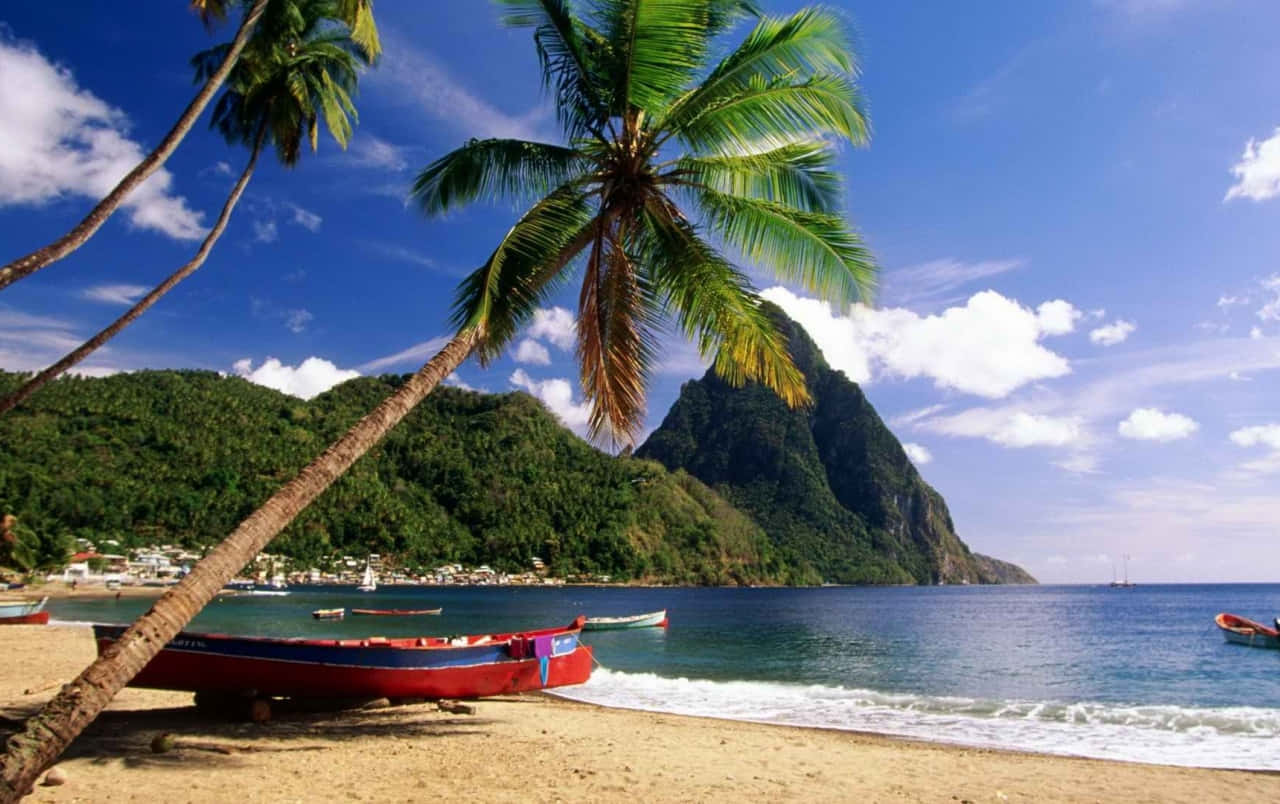 Caribbean Beach 桌布 壁紙 — 一個充滿活力的熱帶海灘，棕櫚樹斜倚在金色沙灘上的紅色船隻上，碧綠的海水，茂密的綠色山脈，在明亮的藍天白雲下。