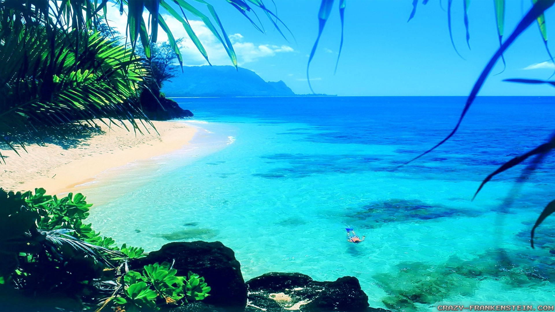 熱帶海灘，碧綠的海水和棕櫚葉框住一個游泳者。 — 夏季 GIF 壁紙