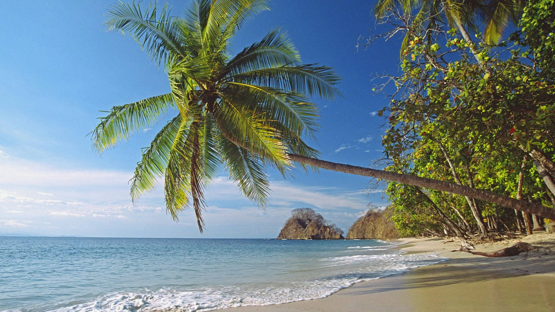 Costa 桌布 壁紙 — 一個充滿活力的熱帶海灘場景，傾斜的棕櫚樹框住碧綠的海水和岩石島嶼，在清澈的藍天下。