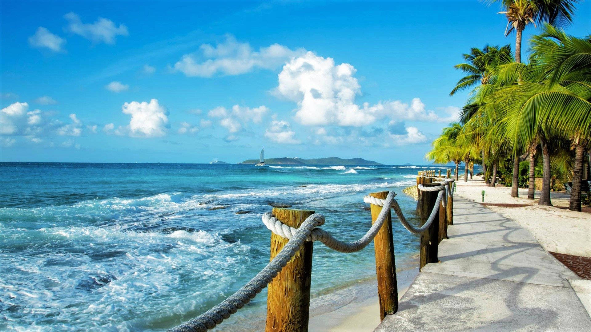 Caribbean 桌布 壁紙 — 一個充滿活力的熱帶海灘場景，在明亮的藍天下，綠松石色的海浪拍打著一排棕櫚樹旁的木繩欄杆。