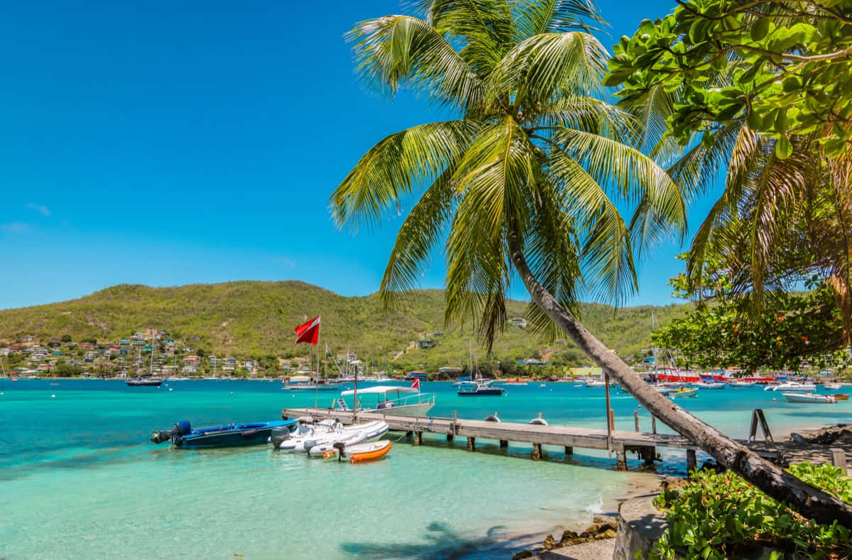 Caribbean Island 桌布 壁紙 — 一個充滿活力的熱帶海灣，擁有碧綠的海水、棕櫚樹和停泊在木碼頭上的船隻，天空清澈湛藍。