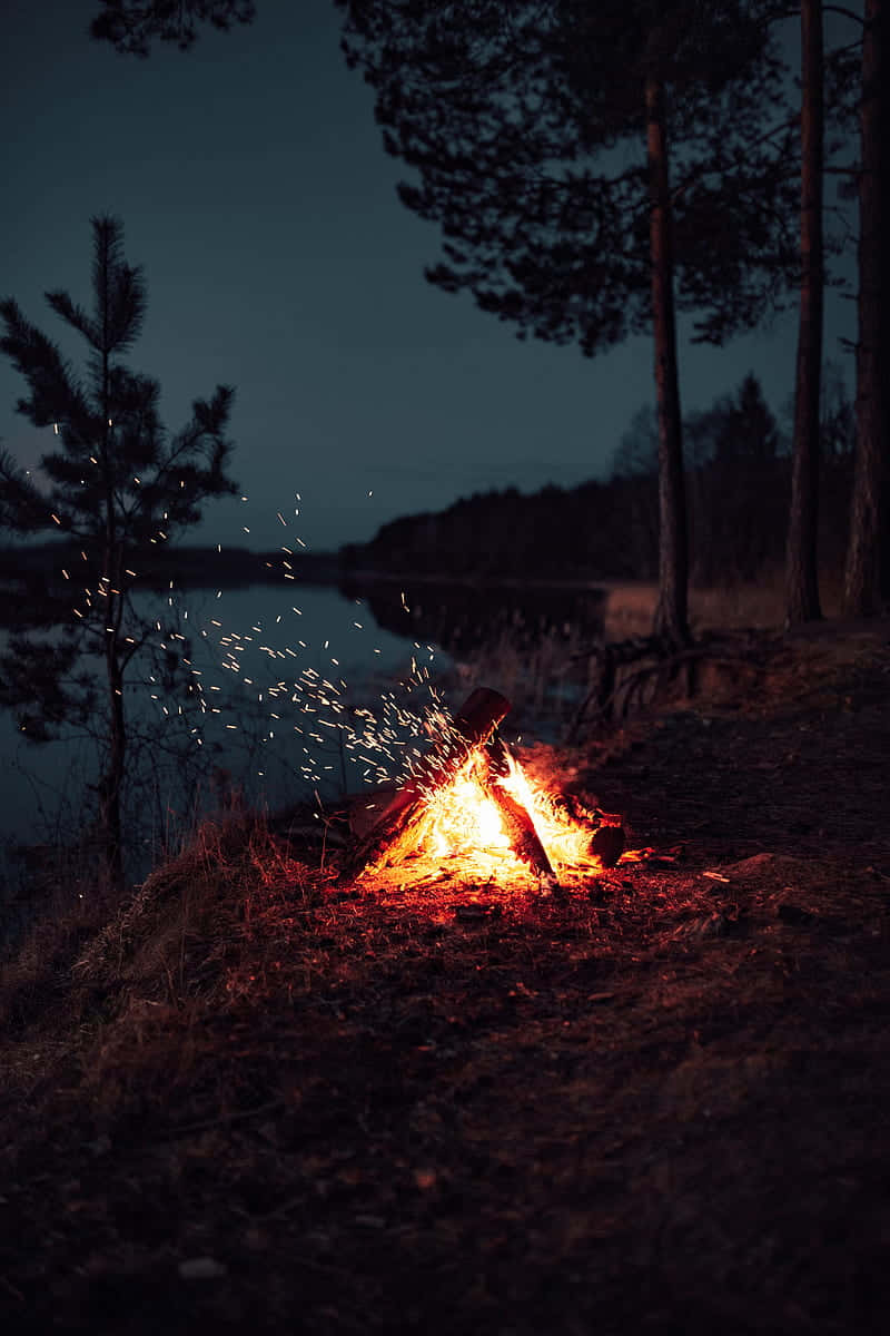 Camping 桌布 壁紙 — 一個充滿活力的營火在昏暗的湖邊暮色中迸發火花，以松樹剪影和寧靜的水面為框景。
