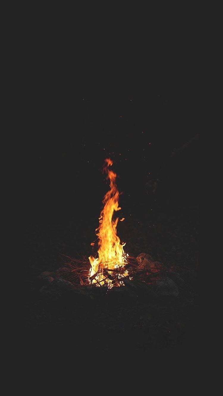 可愛黑色風格 桌布 壁紙 — 一個充滿活力的營火在漆黑的夜空中明亮地燃燒，向周圍的樹枝和餘燼投射溫暖的橙色光芒。
