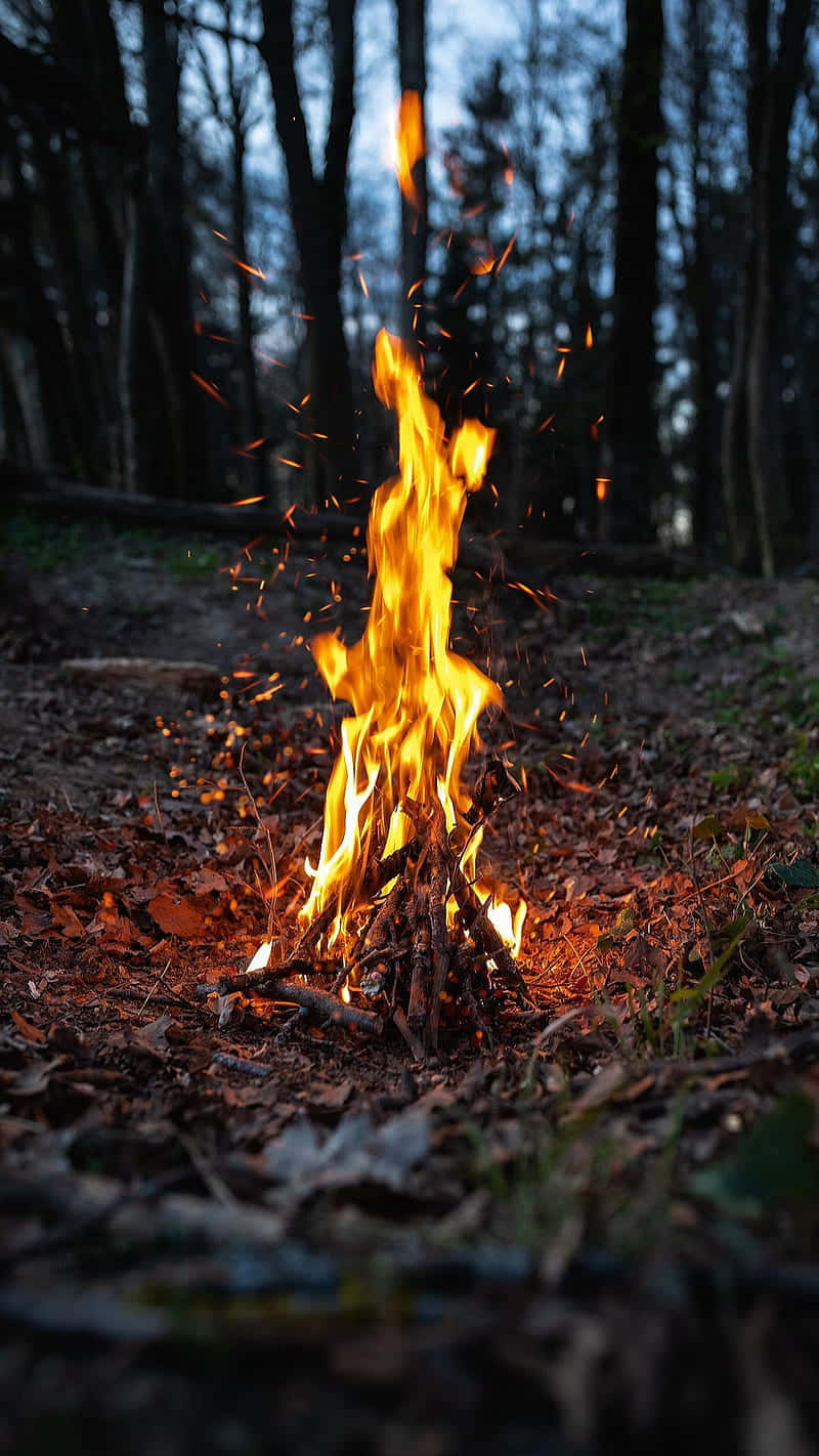 Camping 桌布 壁紙 — 一個充滿活力的營火在黃昏的森林中劈啪作響，背後有發光的餘燼和黑暗的樹木剪影。