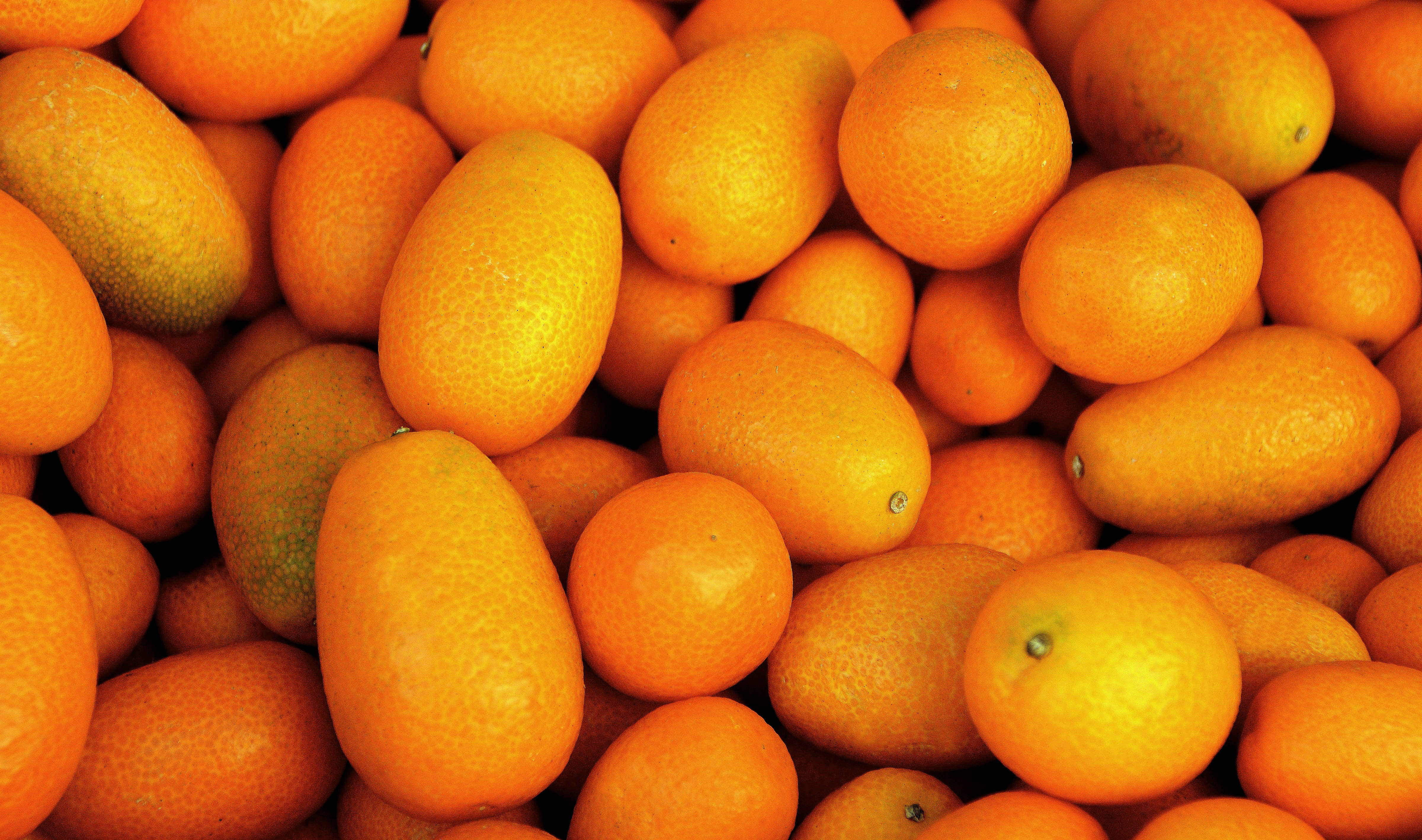 Kumquat 桌布 壁紙 — 一個充滿活力的特寫，光澤的橙色金橘堆疊在一起，展示其紋理果皮和多汁的外觀。