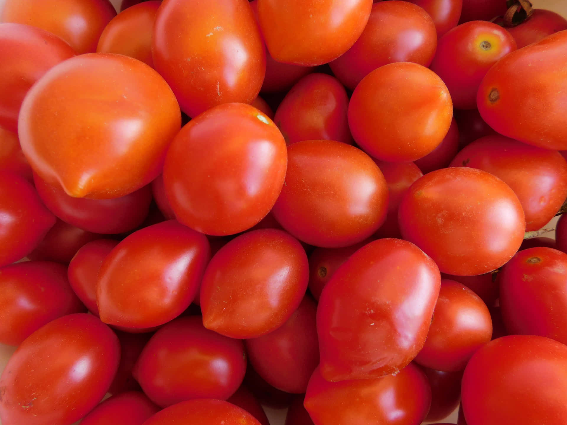 Tomatoes 壁紙 — 一個充滿活力的特寫，多汁成熟的紅色番茄，表皮光滑，堆疊在一起。