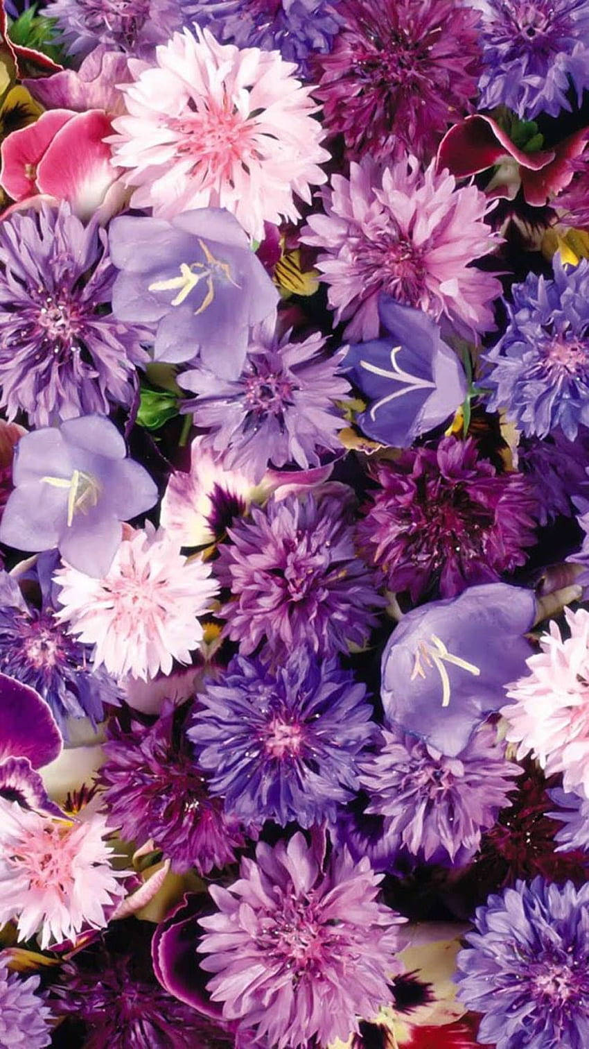 Aesthetic Purple Flower 桌布 壁紙 — 一個充滿活力的特寫，展示了各種紫色、粉紅色和薰衣草色的花朵，帶有精緻的花瓣和綠葉，形成茂盛的花卉掛毯。