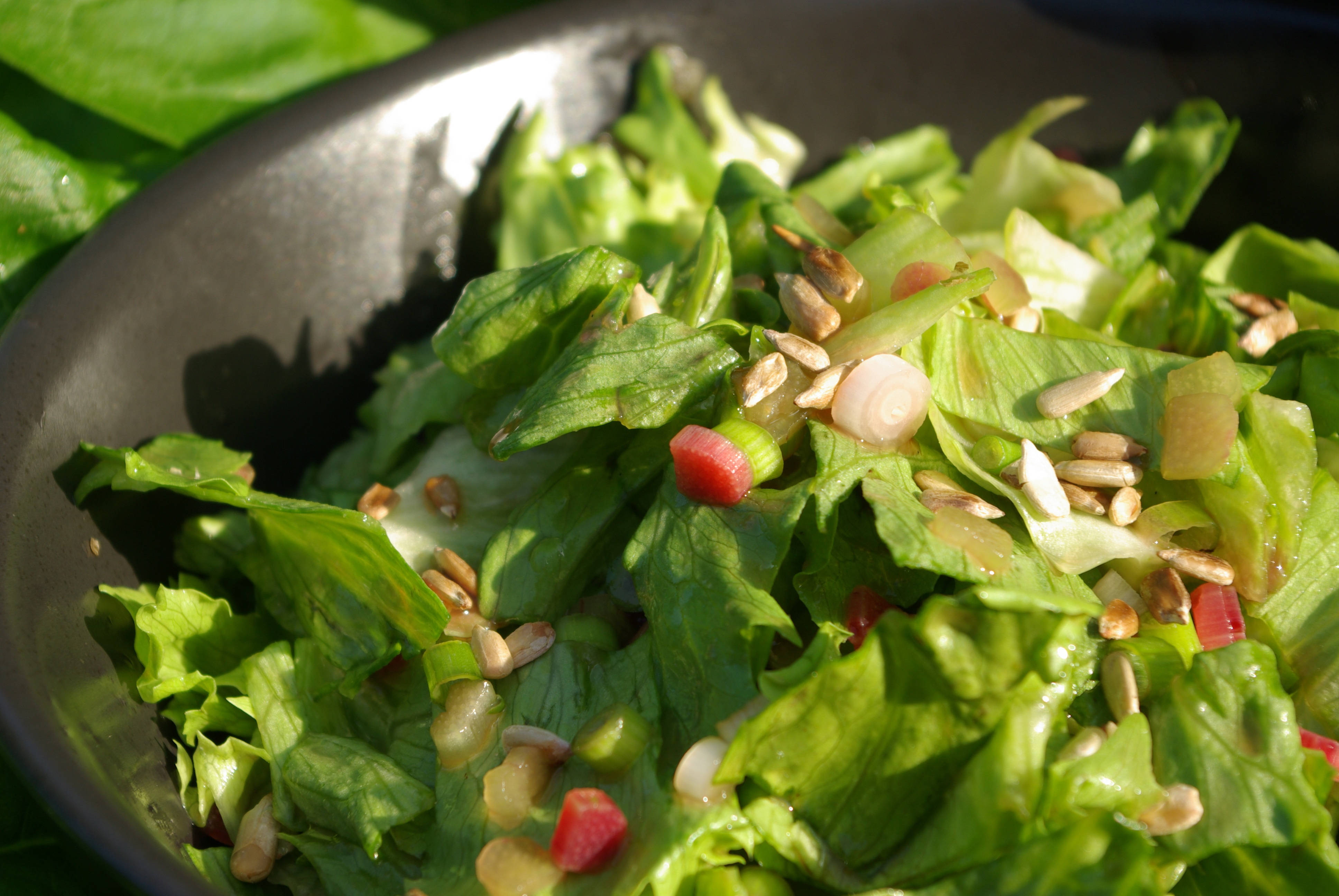 Healthy Food 桌布 壁紙 — 一個充滿活力的特寫，展示深色碗中的新鮮綠色沙拉，配以葵花籽和紅蘿蔔。